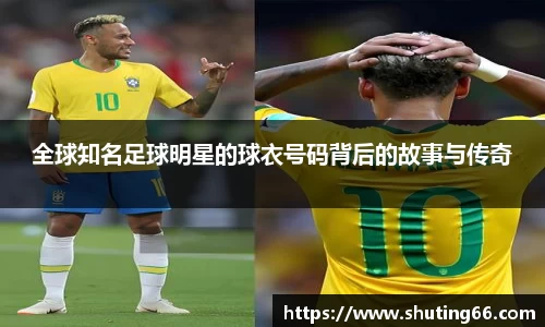 乐动LDSports综合体育